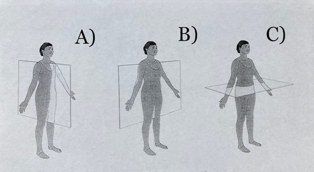 Anatomical Position: An Important Concept in Bodywork